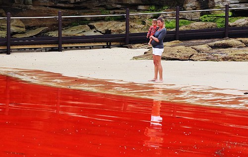 Marea roja en Australia