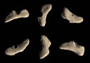 Fotos de l'asteroide Eros