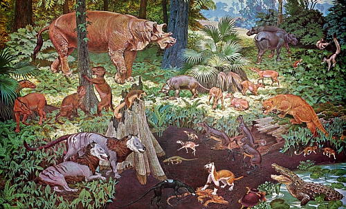 Animales del Eoceno