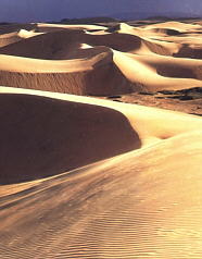 Desiertos y dunas