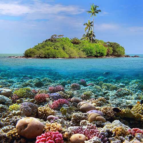 Islas de coral