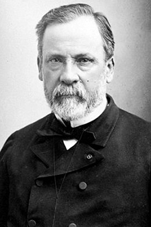 Louis Pasteur: la pasteurización y la Edad de Oro de la Microbiología
