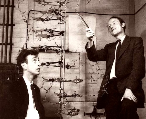 Watson y Crick estudiando el ADN