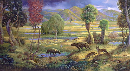 Paisaje del Oligoceno