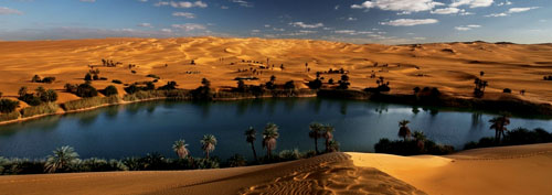 Oasis en un desierto arenoso