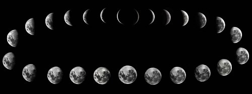 Las 4 fases de la Luna